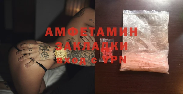 прущие грибы Богданович