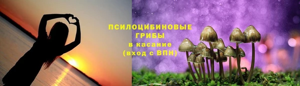 Альфа ПВП Богородицк