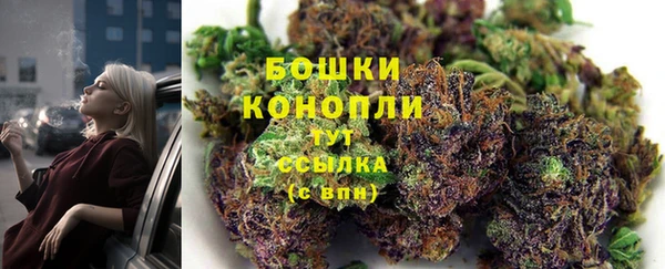 прущие грибы Богданович