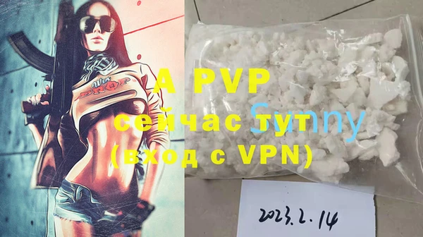 прущие грибы Богданович