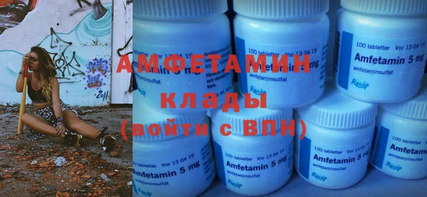 прущие грибы Богданович
