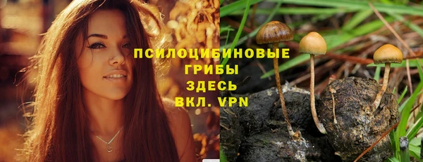 Альфа ПВП Богородицк