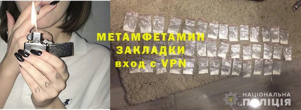 прущие грибы Богданович