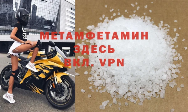 прущие грибы Богданович
