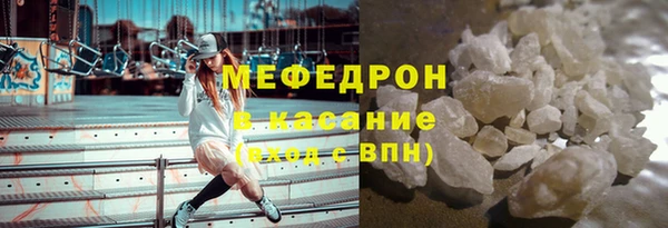 прущие грибы Богданович