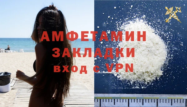 прущие грибы Богданович