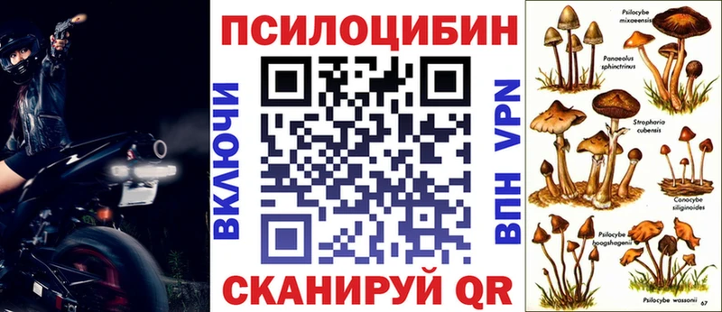 как найти наркотики это клад Псилоцибиновые грибы Cubensis Данков